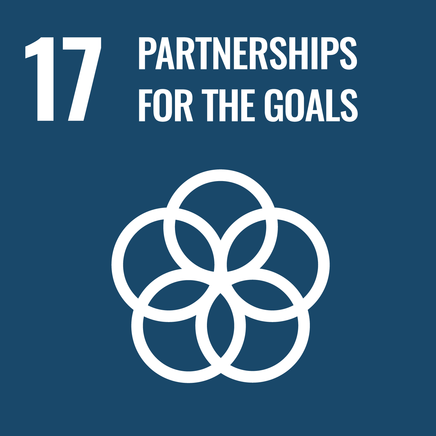 UN Sustainable Development Goals Number 17 Partnerships for the Goals